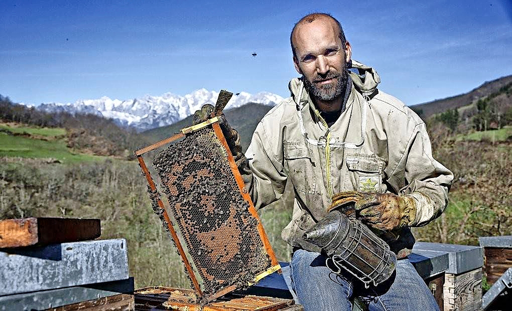 Rub&eacute;n Varona cuenta con unas 400 colmenas en sus fincas de Colmenares de Vendejo a los pies de los Picos de Europa. / DAVID VARONA