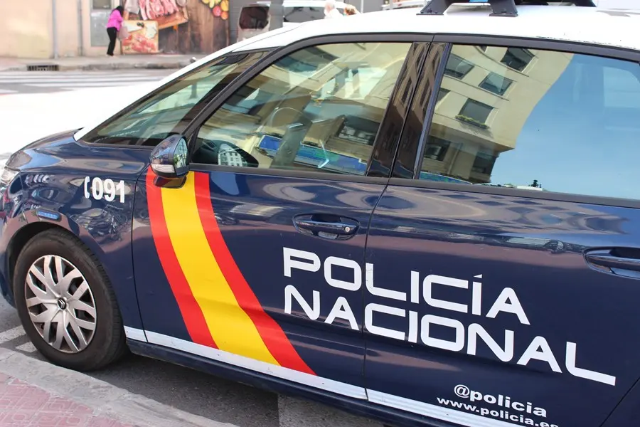 Coche de la Polic&iacute;a Nacional. / AEE