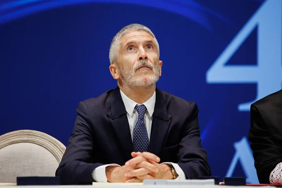 El ministro del Interior, Fernando Grande-Marlaska. / AEE