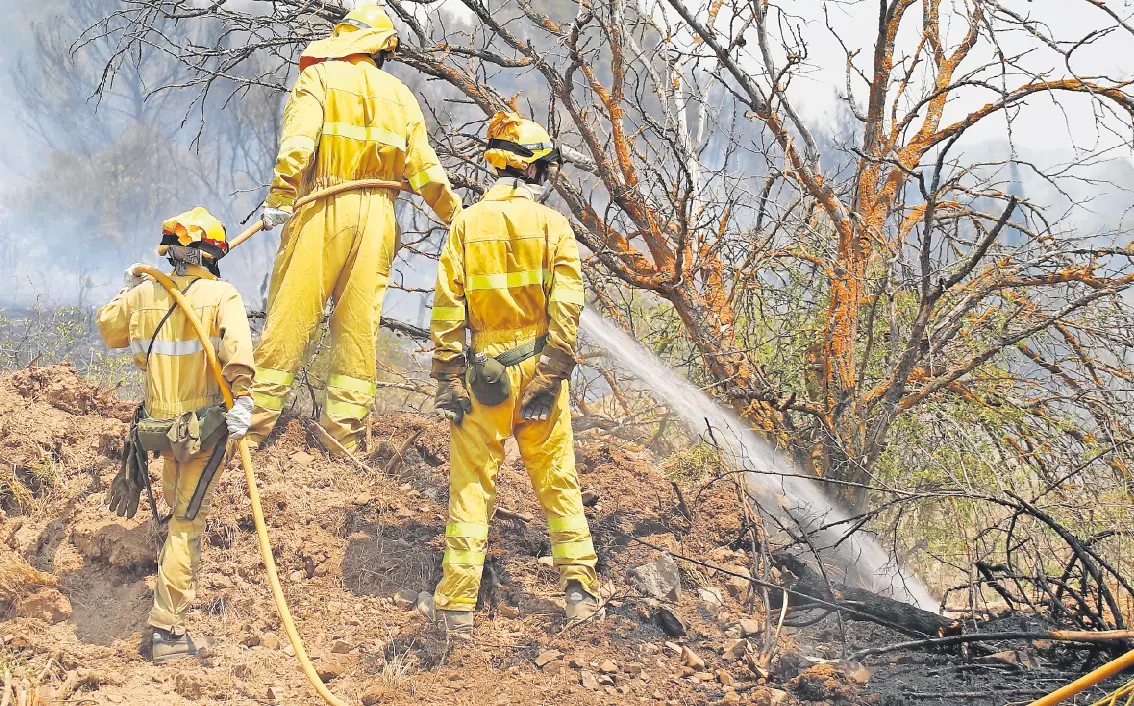 Miembros de la brigada helitransportada trabajan para sofocar el incendio declarado el pasado lunes en Ateca, Zaragoza. / EFE