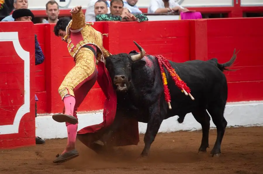 El novillero Isaac Fonseca, sufre una cogida sin consecuencias durante la novillada celebrada en el segundo d&iacute;a de la Feria de Santiago, en la que ha compartido cartel con V&iacute;ctor Hern&aacute;ndez y Marcos Linares, con 6 novillos de N&uacute;&ntilde;ez Tarifa, este domingo en Santander. . EFE/Pedro Puente Hoyos