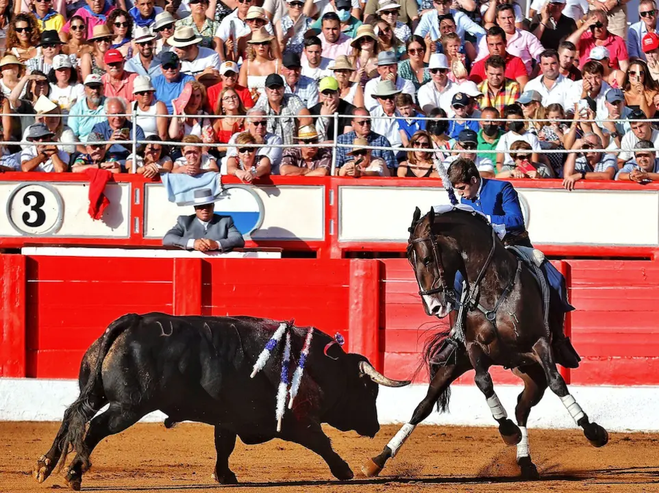 El rejoneador Guillermo Hermoso de Mendoza durante la tarde de hoy en Santander. / ALERTA