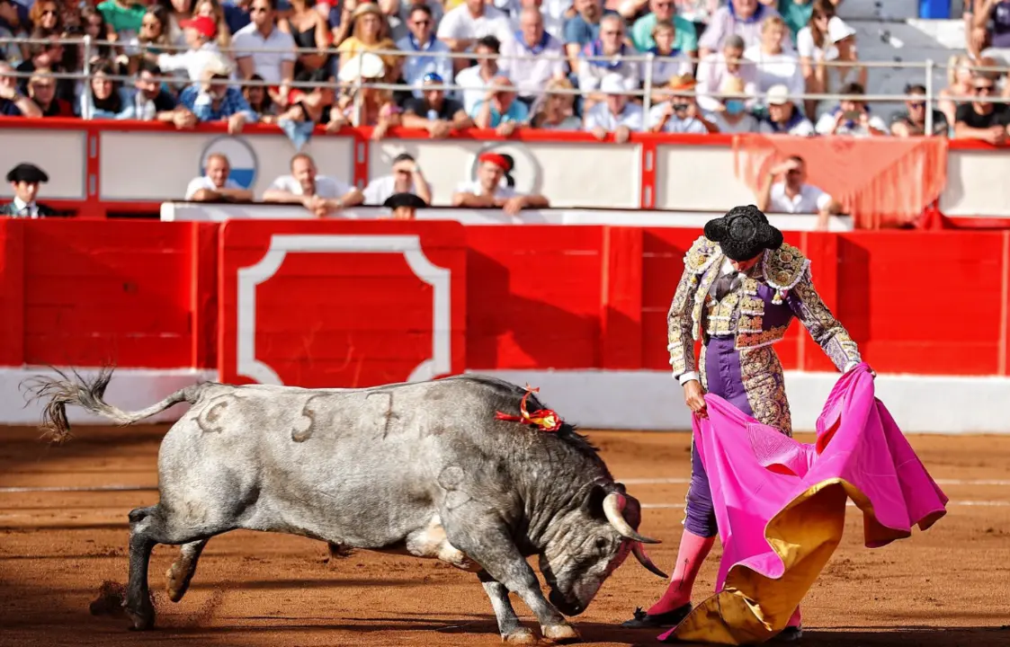 El diestro Miguel &Aacute;ngel Perera indult&oacute; este viernes, en la &uacute;ltima de feria de Santander, a "Hur&oacute;n".