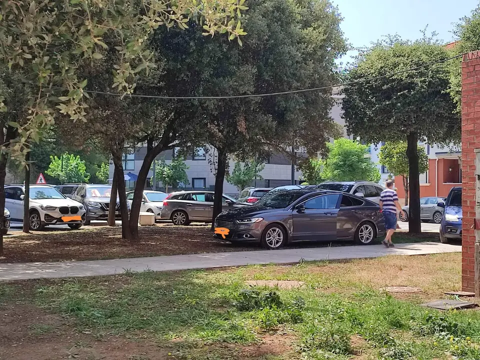 Un coche aparcado en mitad de una zona ajardinada en Ribamontan al Mar. / ALERTA