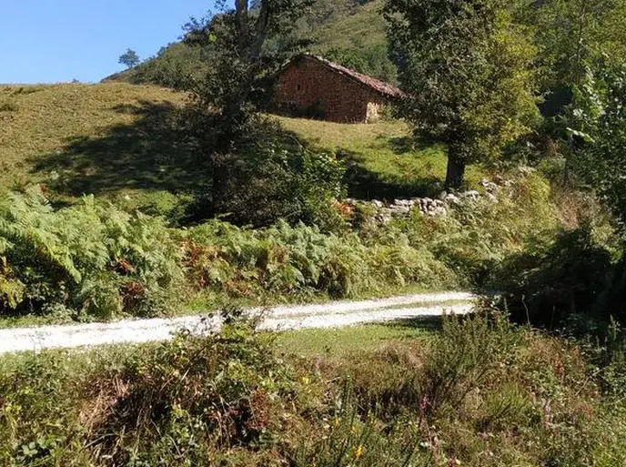 Pista forestal en Cabu&eacute;rniga. / ALERTA