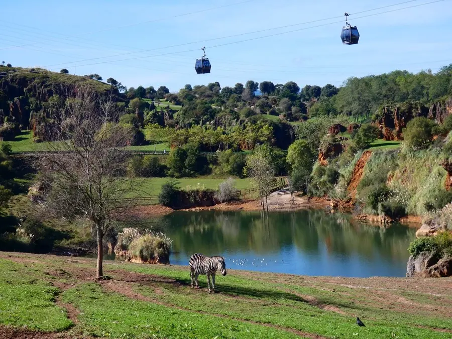 Parque de la Naturaleza de Cab&aacute;rceno. / EP