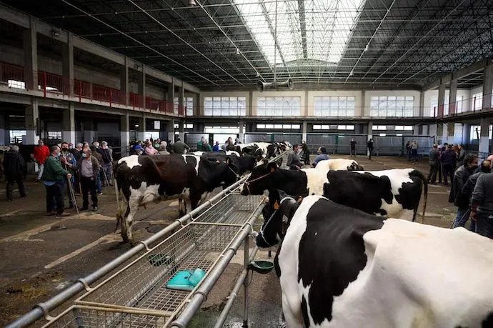**CORRIGE D&Iacute;A**TORRELAVEGA (CANTABRIA) 21/04/2021.- Varios ganaderos conversan junto a las reses este mi&eacute;rcoles en el Mercado Nacional de Ganados de Torrelavega. EFE/Pedro Puente Hoyos