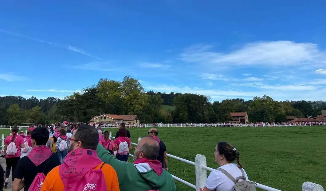 Marea rosa por Puente San Miguel  para la lucha contra el c&aacute;ncer.