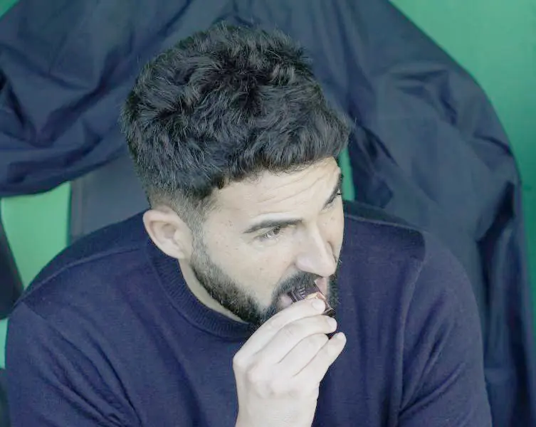 Fern&aacute;ndez Romo, en el banquillo de Los Campos de Sport. / LA LIGA