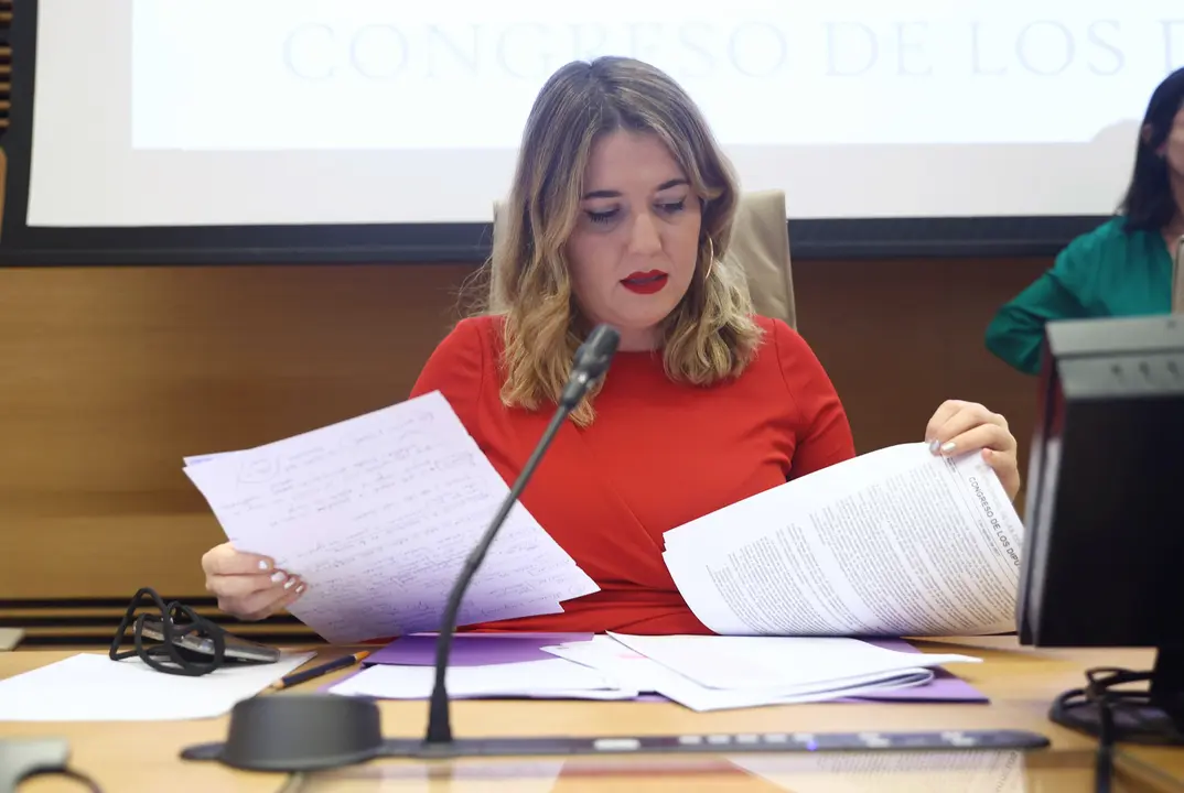 La secretaria de Estado de Igualdad y contra la Violencia de G&eacute;nero, &Aacute;ngela Rodr&iacute;guez. / Eduardo Parra