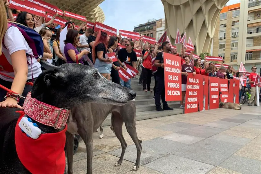 En la imagen de archivo, participantes en una concentraci&oacute;n contra la nueva ley animal. EFE/Ferm&iacute;n Cabanillas