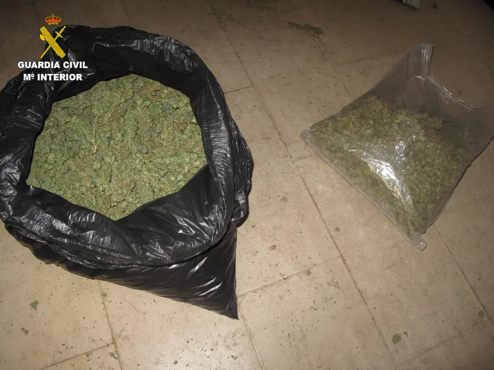 Marihuana intervenida por la Guardia Civil. / E.P.