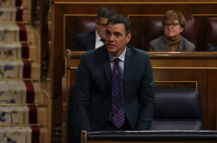 El presidente del Gobierno, Pedro S&aacute;nchez, en el pleno del Congreso. EFE/Kiko Huesca