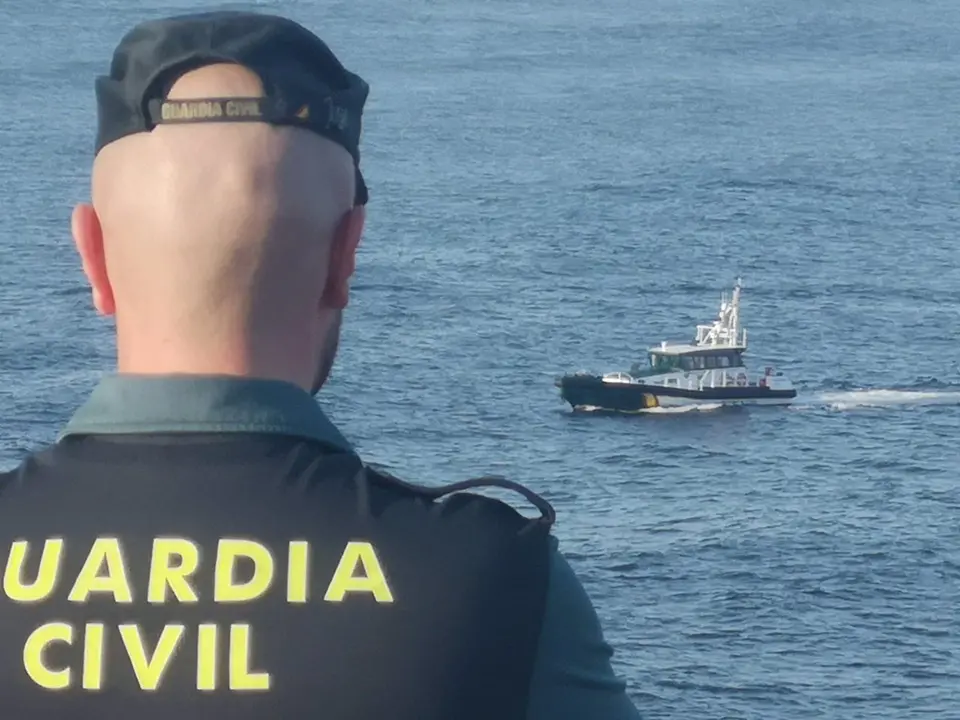 Imagen del dispositivo de b&uacute;squeda | Foto: Europa Press