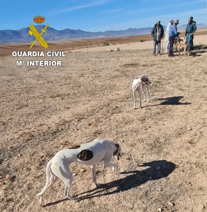 La Guardia Civil se ha desplazado hasta el lugar del suceso. E.P.