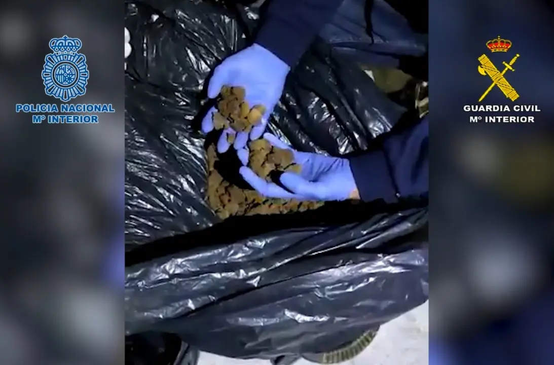 En los registros se intervinieron, 70 kilogramos de hach&iacute;s. E.P.