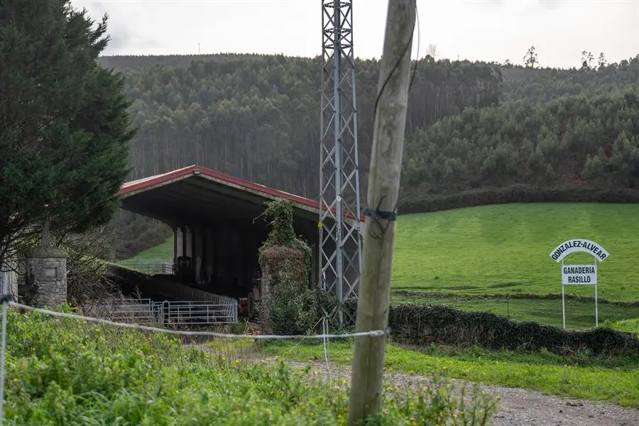 Recinto ganadero ubicado en la localidad c&aacute;ntabra de Ajo, este jueves, en el que la Guardia Civil investiga el abandono de varias vacas muertas desde hace unos diez d&iacute;as.- EFE/Pedro Puente Hoyos