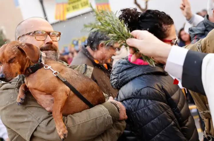 La parroquia valenciana de San Antonio Abad acoge, ya sin restricciones por la pandemia, la tradicional bendici&oacute;n y desfile de animales.EFE/ Biel Ali&ntilde;o