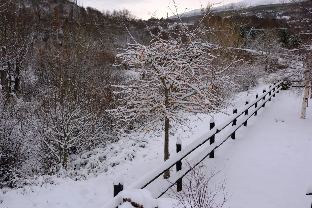Nieve caída en Reinosa. / EP / Archivo