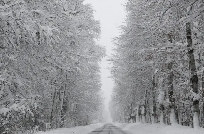 Una carretera de Roncesvalles (Navarra) cubierta por la nieve. EFE/Villar L&oacute;pez