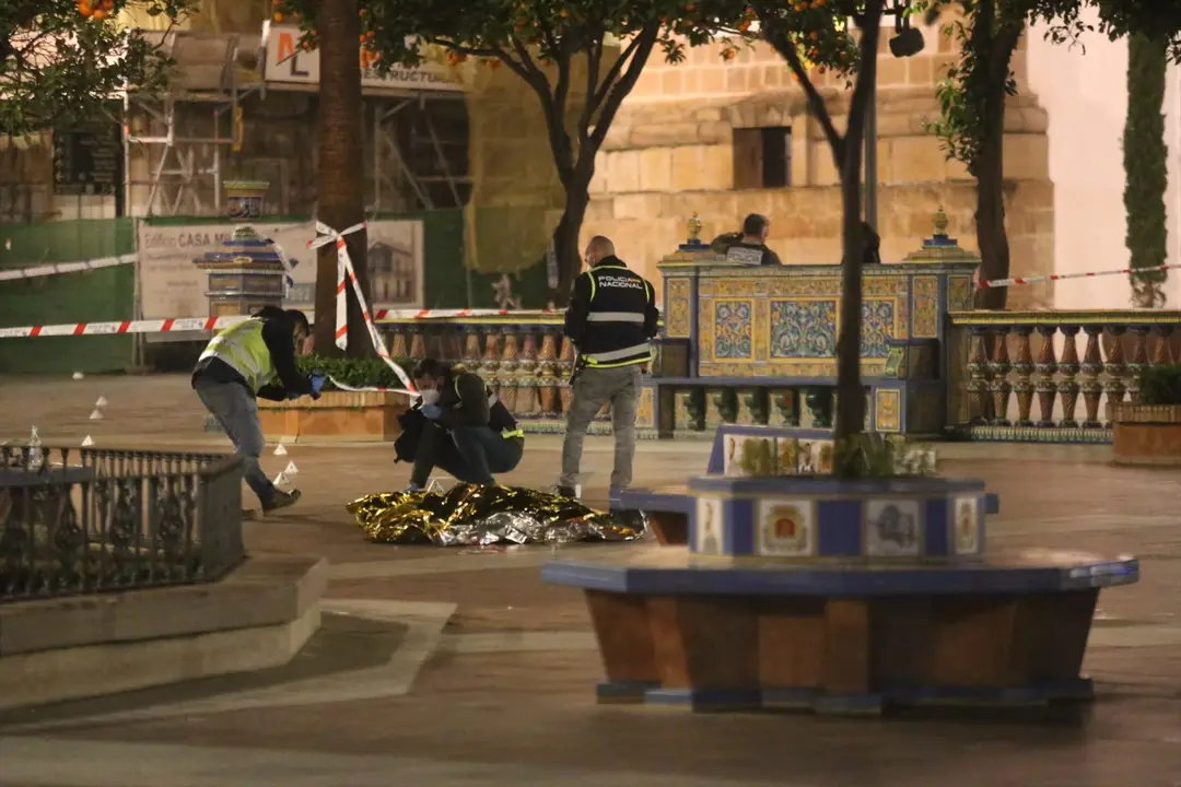 Efectivos sanitarios y policiales cubren el cad&aacute;ver del sacrist&aacute;n fallecido en un ataque a diferentes iglesias, el pasado 25 de enero. E.P. / Nono Rico