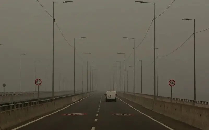 Una carretera cubierta de humo provocado por un incendio, en Santa Juana, Regi&oacute;n del Biob&iacute;o (Chile). EFE / Esteban Paredes Drake