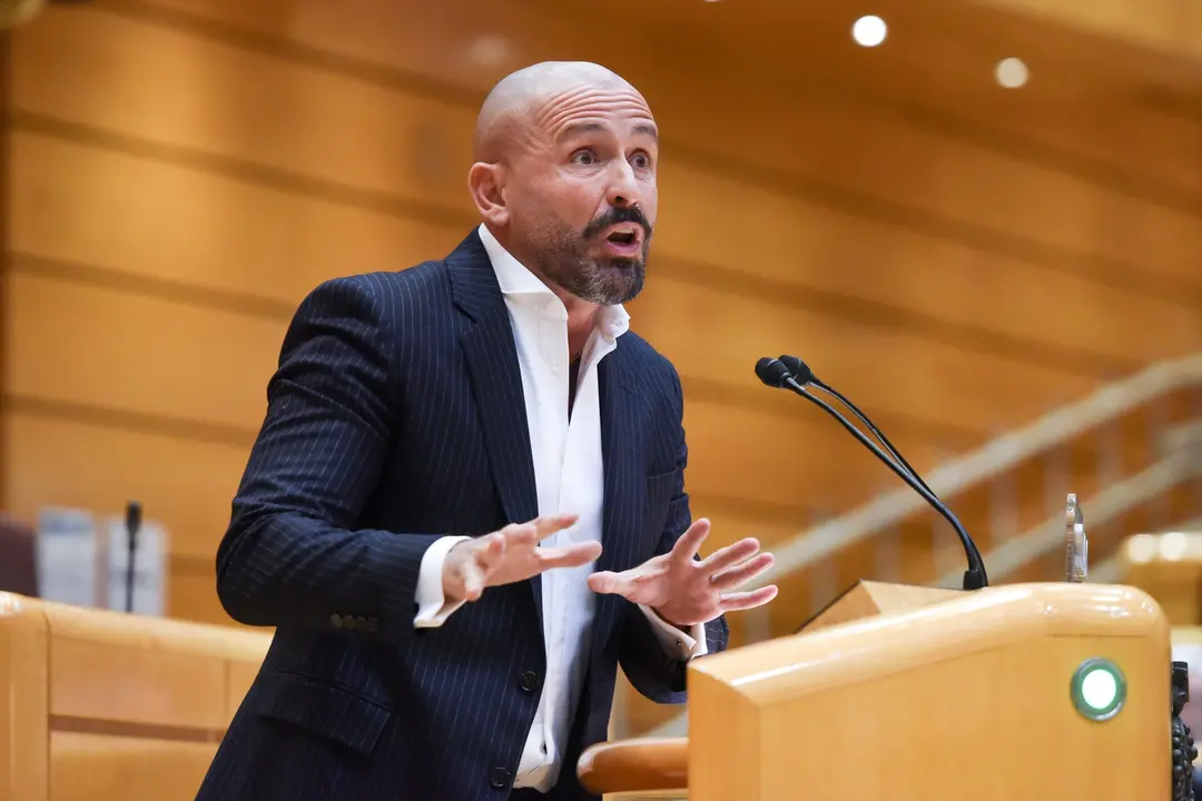 El diputado del PP, Jaime Miguel de los Santos Gonz&aacute;lez, interviene durante una sesi&oacute;n plenaria. E.P. / Gustavo Valiente