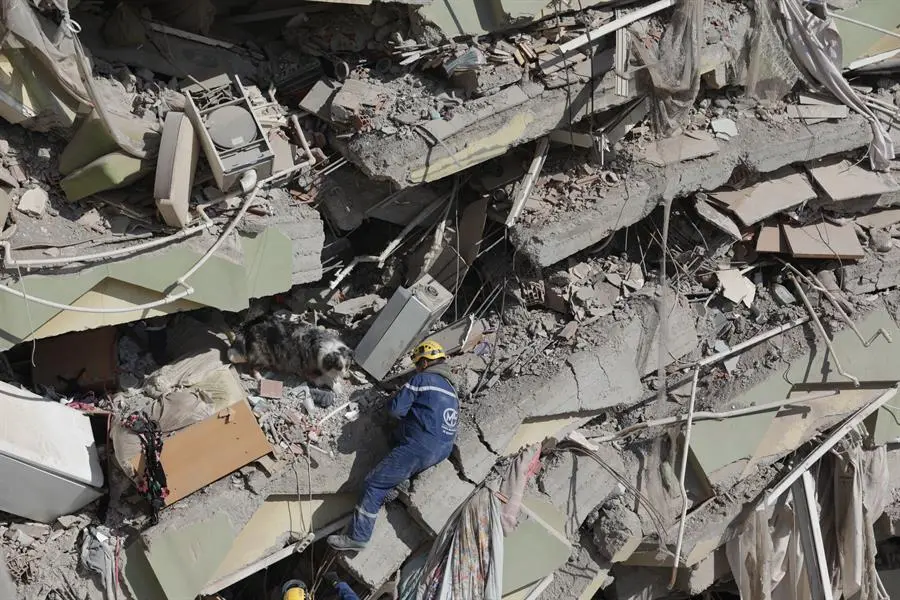 El equipo de rescate franc&eacute;s Corps Mondial de Secours con su perro de b&uacute;squeda busca supervivientes del terremoto. EFE / Abir Sultan