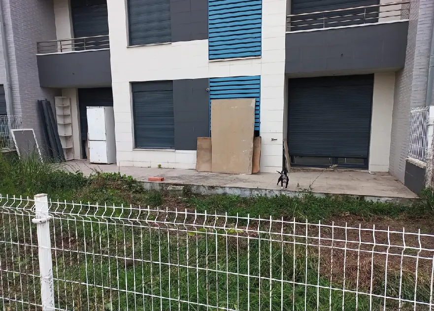 Edificio de Polanco donde se han ocupado viviendas ilegalmente. / ALERTA
