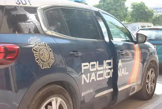 Veh&iacute;culo de la Polic&iacute;a Nacional. / CNP