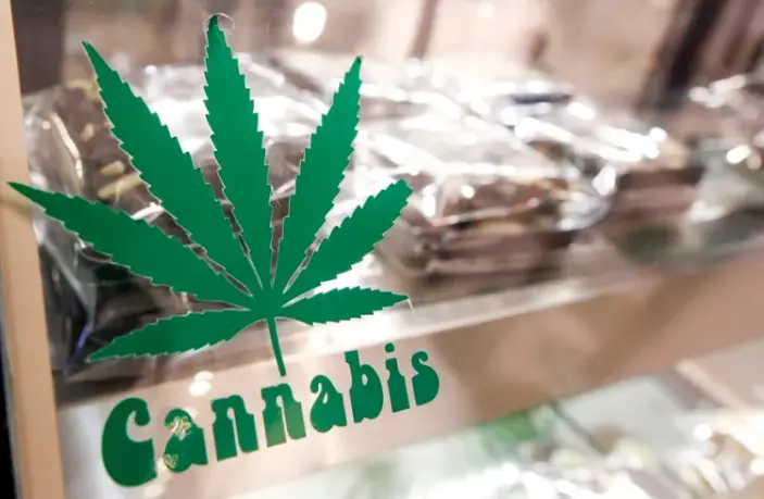 Una tienda donde se venden productos con cannabis. EFE/EPA/Diego Azubel