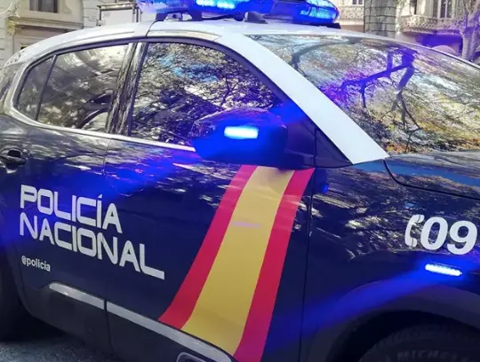 Coche de la Polic&iacute;a Nacional. / CNP