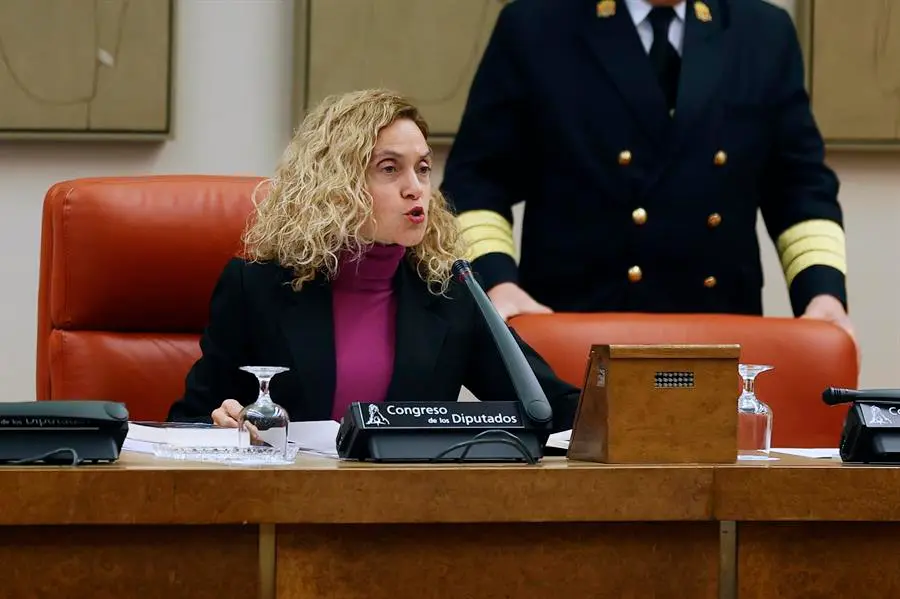 La presidenta del Congreso, Meritxell Batet. EFE / Javier Lizon