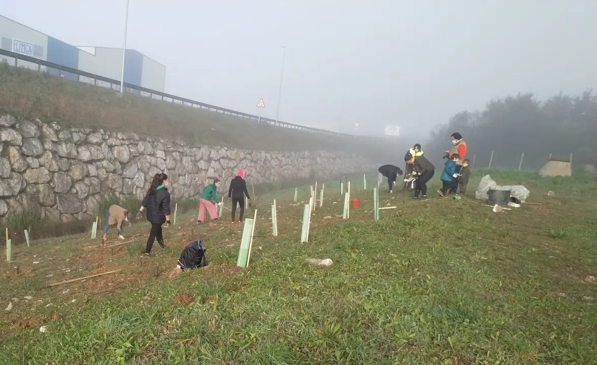 En la localidad se han hecho otras plantaciones de &aacute;rboles. / Alerta