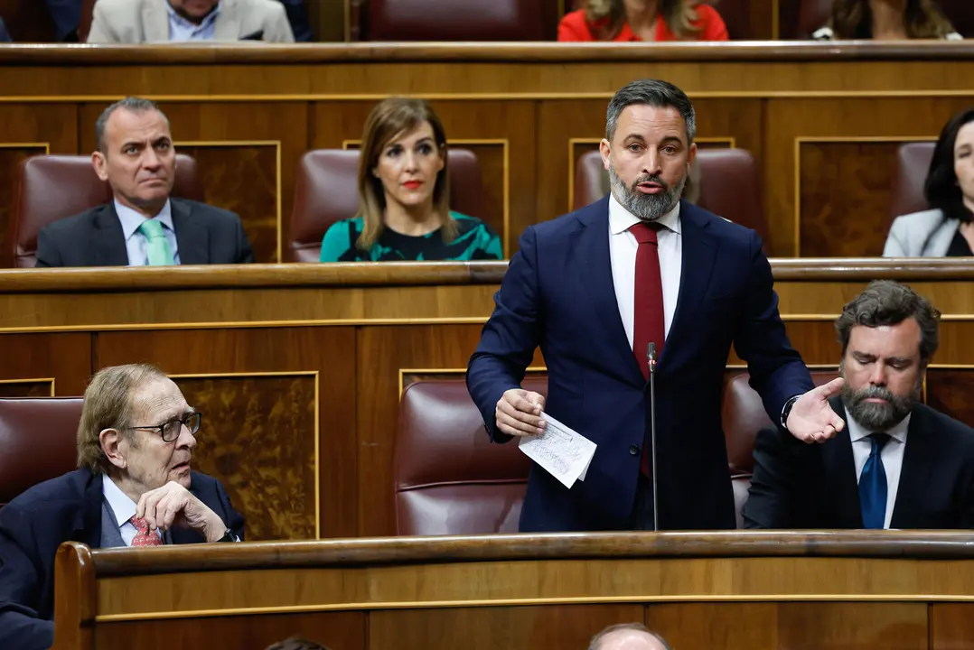El l&iacute;der de Vox, Santiago Abascal (c), con Ram&oacute;n Tamames (i) durante la moci&oacute;n de censura contra el Gobierno del socialista Pedro S&aacute;nchez, este mi&eacute;rcoles en el Congreso de los Diputados. EFE/Chema Moya