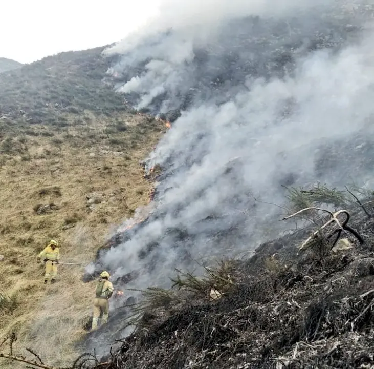 Los bomberos intentan sofocar un incendio forestal. / ALERTA
