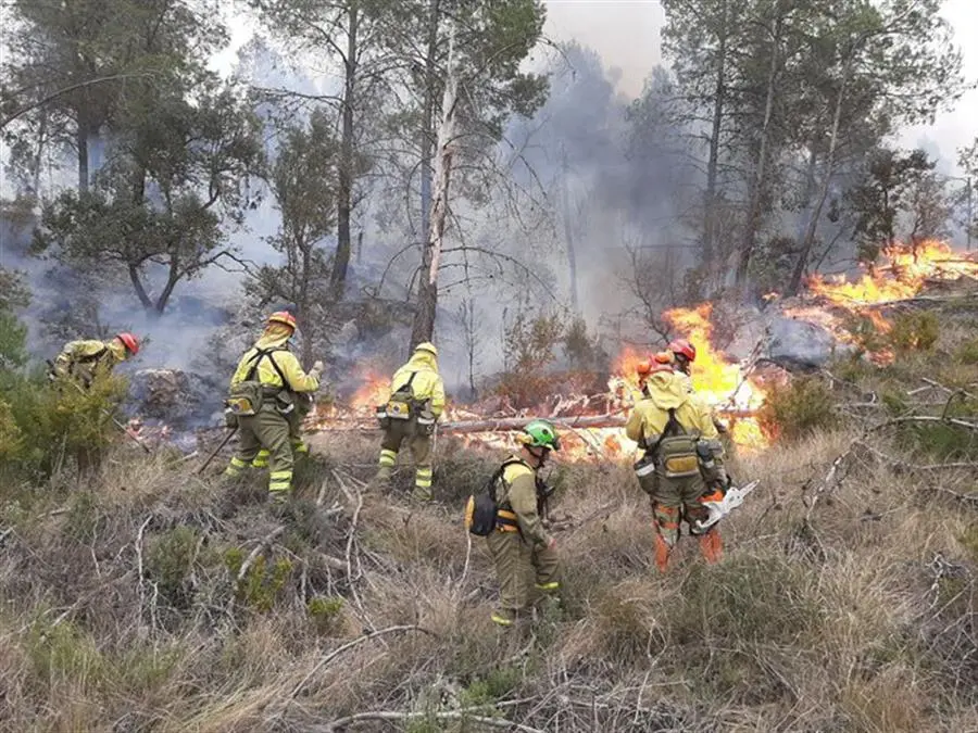 Una veintena de bomberos murcianos trabajan en el incendio forestal que desde el jueves afecta al interior de la provincia de Castell&oacute;n sigue sin estar controlado. EFE