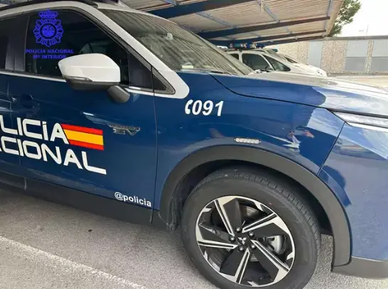 Coche de la Polic&iacute;a Nacional. / CNP