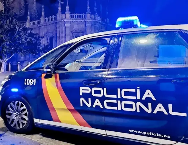 Coche de la Polic&iacute;a Nacional. / CNP