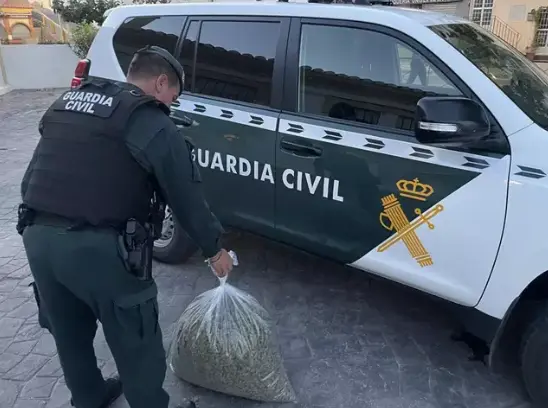 Agente de la Guardia Civil con marihuana incautada. / GC