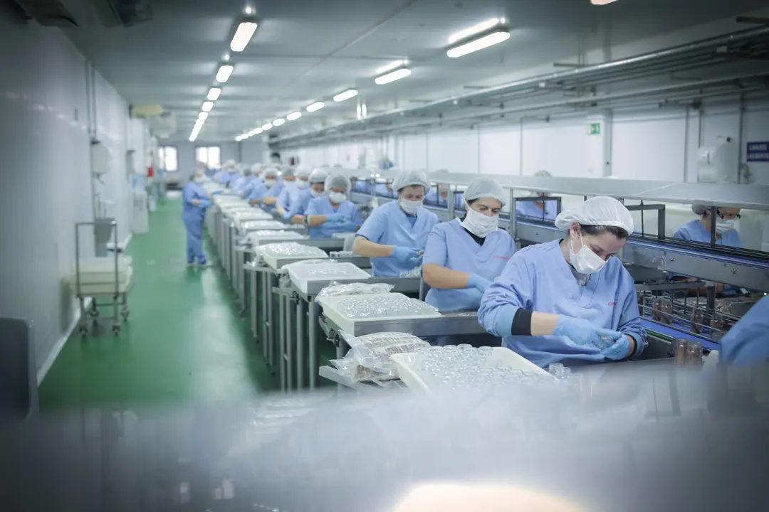 Trabajadoras en las conserveras. / Grupo Consorcio