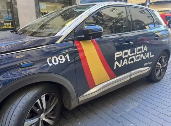 Coche de Polic&iacute;a Nacional. / CNP