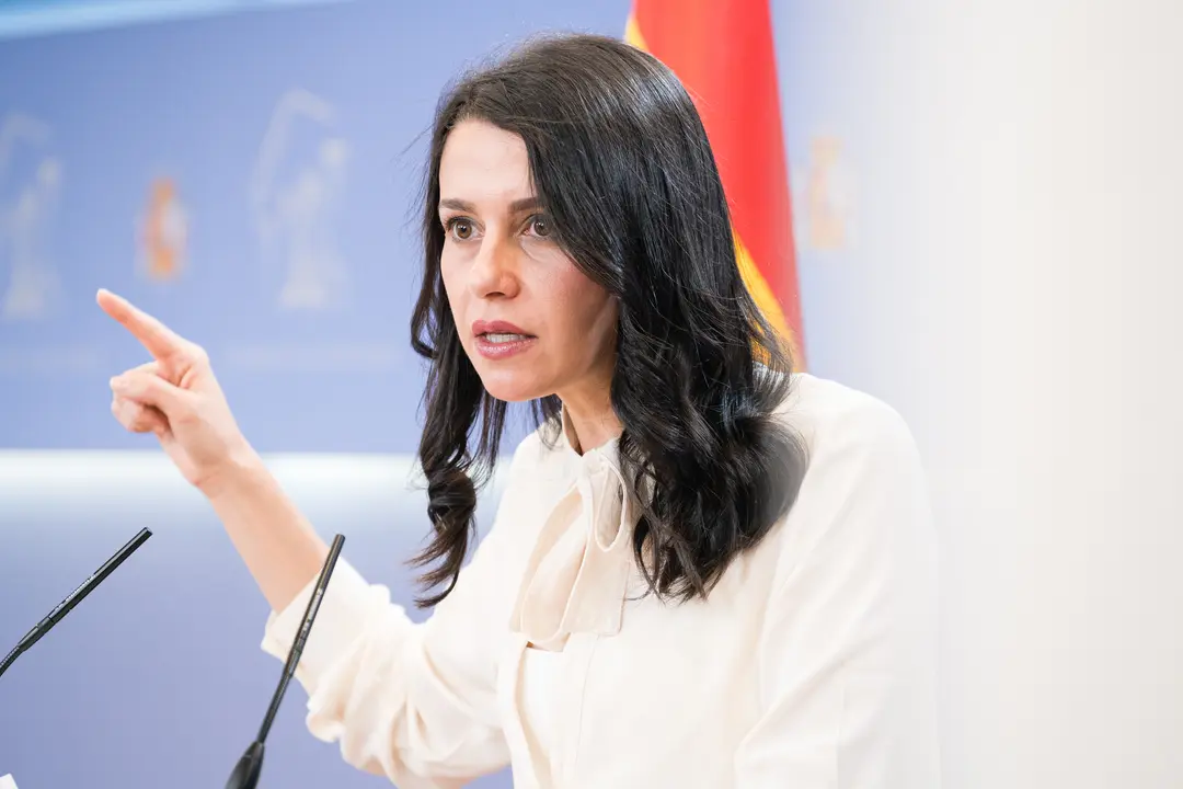 La portavoz de Ciudadanos en el Congreso, In&eacute;s Arrimadas. / Diego Radam&eacute;s