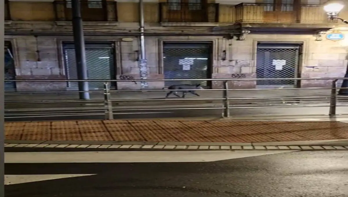 Jabal&iacute; de pase&oacute; por Bilbao.