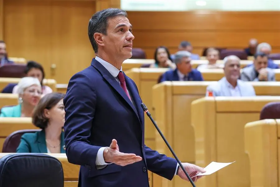 El presidente del Gobierno, Pedro S&aacute;nchez, interviene en la sesi&oacute;n de control celebrada este martes en el pleno del Senado, en Madrid. EFE/ Kiko Huesca