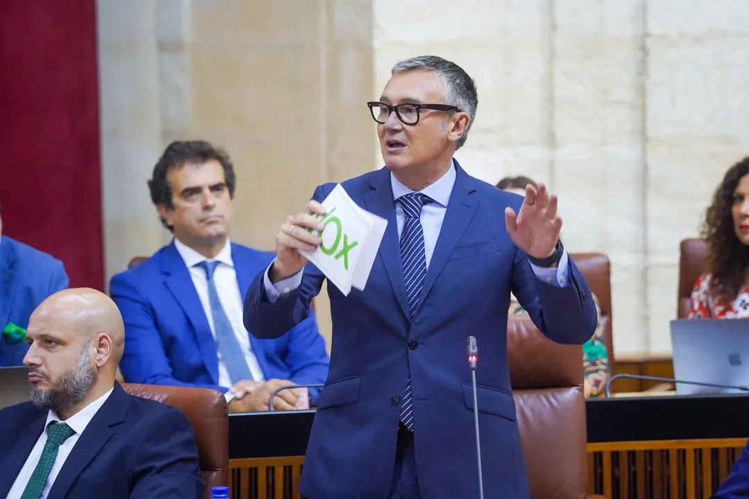 El portavoz del Grupo Parlamentario Vox, Manuel Gavira. /  Francisco J. Olmo