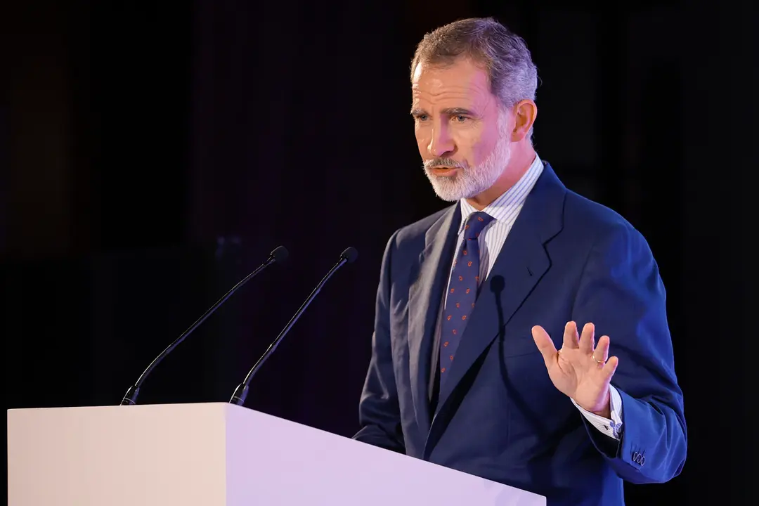 El rey Felipe VI. / Mariscal