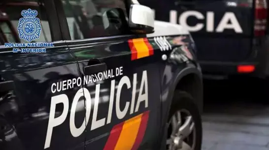 Coche de Polic&iacute;a Nacional. / CNP