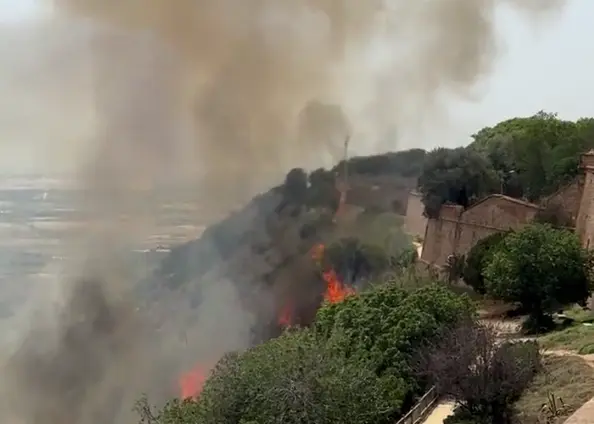 Un incendio quema la ladera frente al castillo de Montju&iuml;c. / 
Jennie Walker
