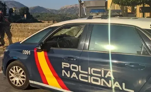 Un coche de la Polic&iacute;a Nacional. / CNP
